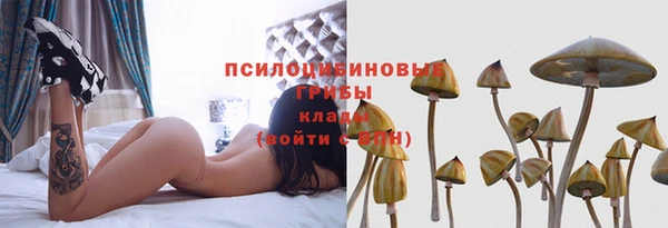 мдма Богородицк