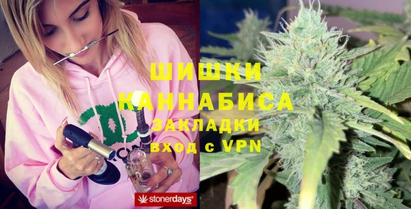 дживик Тайга