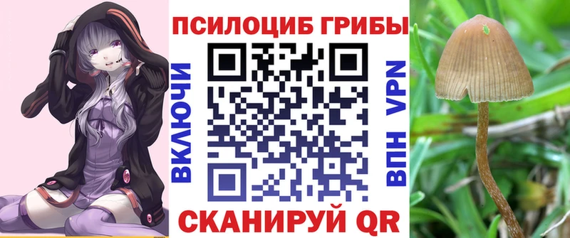 Псилоцибиновые грибы MAGIC MUSHROOMS  Городовиковск 